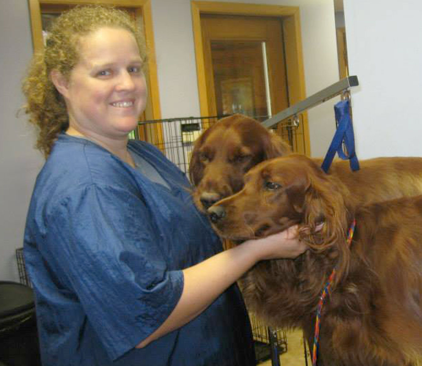 Grooming Service at the K-9 Country Lodge